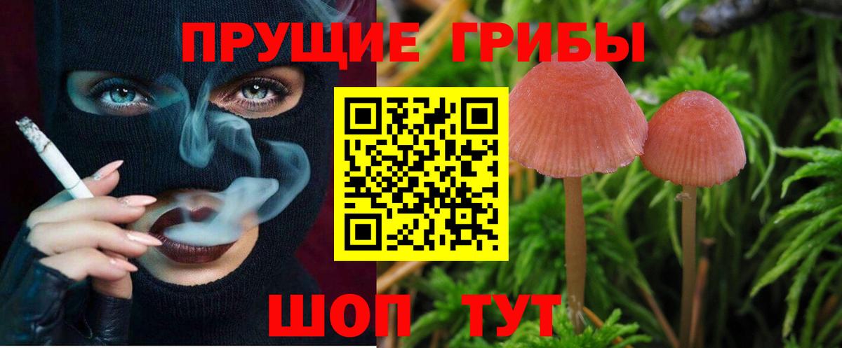 Грозный  Псилоцибиновые грибы прущие грибы  Вход с VPN  наркотики  Псилоцибиновые грибы MAGIC MUSHROOMS 