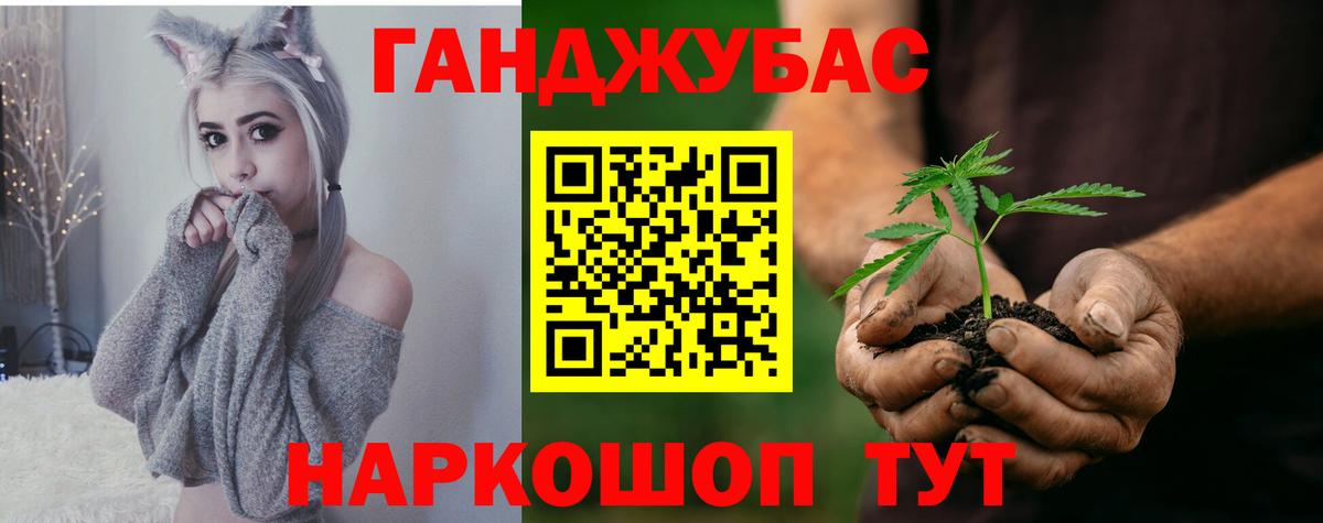 Канабис сатива Грозный